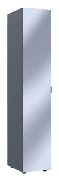 Шкаф для одежды 39x50x204 с зеркалом Графит Гелар Doros