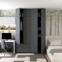 Распашной шкаф 160x50x240 Графит Лукас Doros — Фото 2