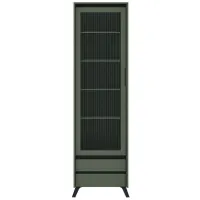 Витрина REG1W2S Зеленый дымчатый/Черный Лаундж BRW — Фото 1